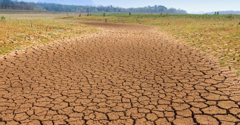 about Conscious Living - dry watercourse