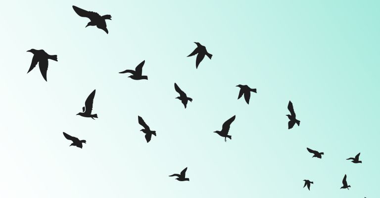 About Conscious Living -flying birds silouette illustration