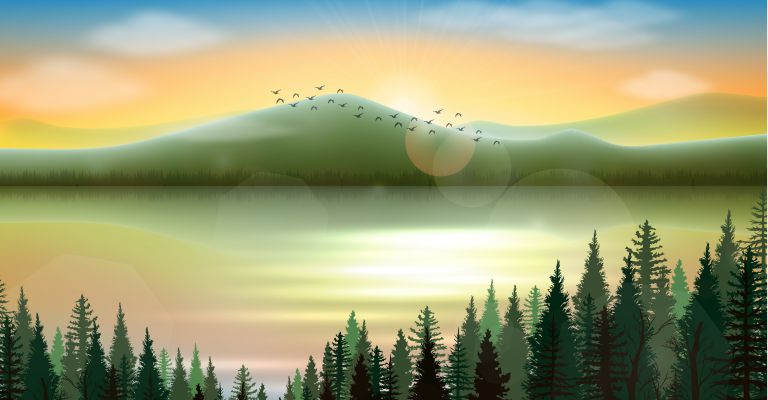 about conscious living - lake and birds