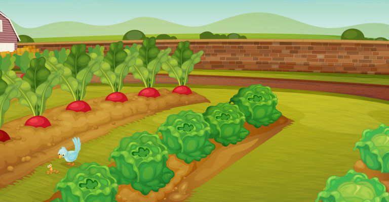 About Conscious Living -vege garden illustration